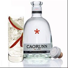 Caorunn Scottish gin with cocktail