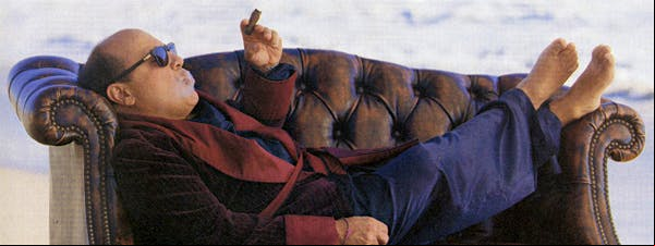 Danny DeVito portrait.