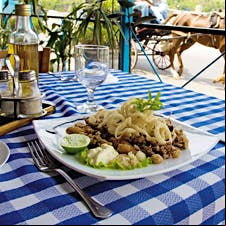 El Templete is one of the city's best seafood restaurants. It overlooks the port of Havana.